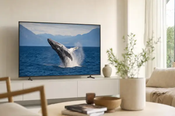 Nature documentary with a whale on a 4K TV via IPTV